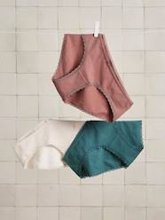 Pack of 3 Briefs in Organic Cotton for Maternity