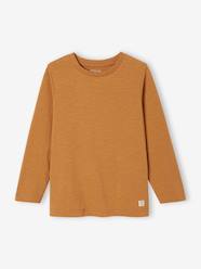 Boys-Tops-Long Sleeve Colour Top for Boys