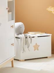 Bedroom Furniture & Storage-Toy Trunk, Sirius Theme