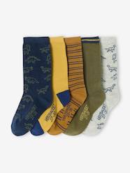 Boys-Pack of 5 Pairs of Dinosaur Socks for Boys