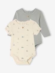 Baby-Bodysuits & Sleepsuits-Pack of 2 baby bodysuits