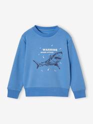 Boys-Cardigans, Jumpers & Sweatshirts-Sweatshirts & Hoodies-Graphic print basics sweatshirt for boys - BASICS