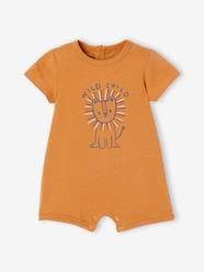 Baby-Basics Playsuit for Babies