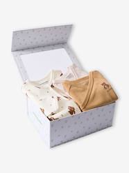 Baby-Pyjamas-Sleepsuit gift set and 2 bear bodysuits