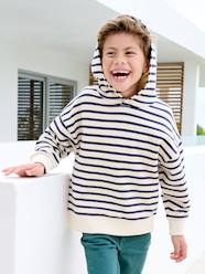 Boys-Cardigans, Jumpers & Sweatshirts-Sweatshirts & Hoodies-Striped hooded sweatshirt for boys