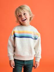 Graphic round neck sweatshirt for boys