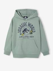 Boys-Cardigans, Jumpers & Sweatshirts-Sweatshirts & Hoodies-Jurassic World® Hooded Sweatshirt 