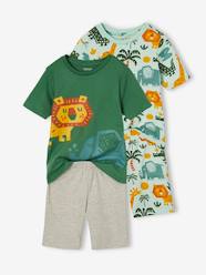 Boys-Pack of 2 Savannah Pyjamas for Boys