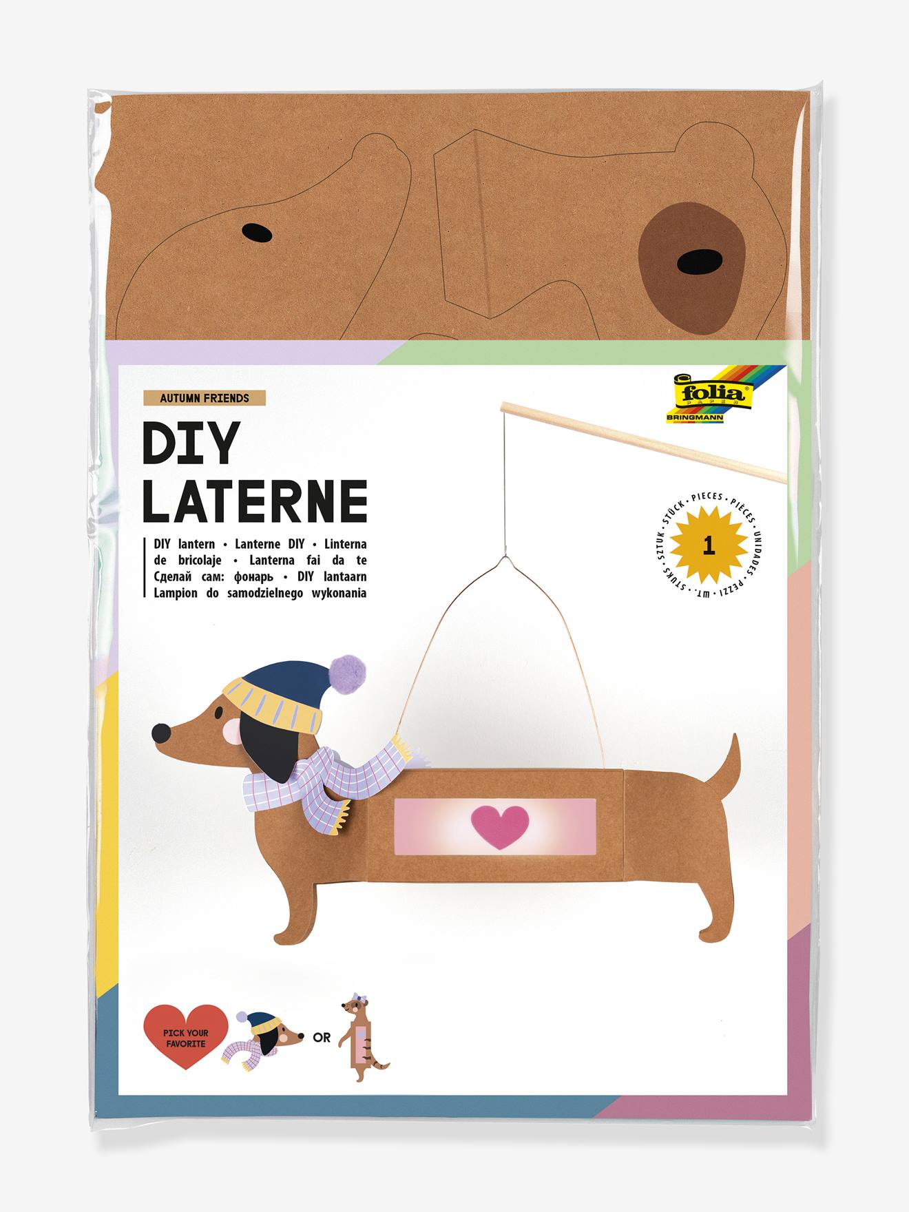 DIY AUTUMN FRIENDS Folia Lantern