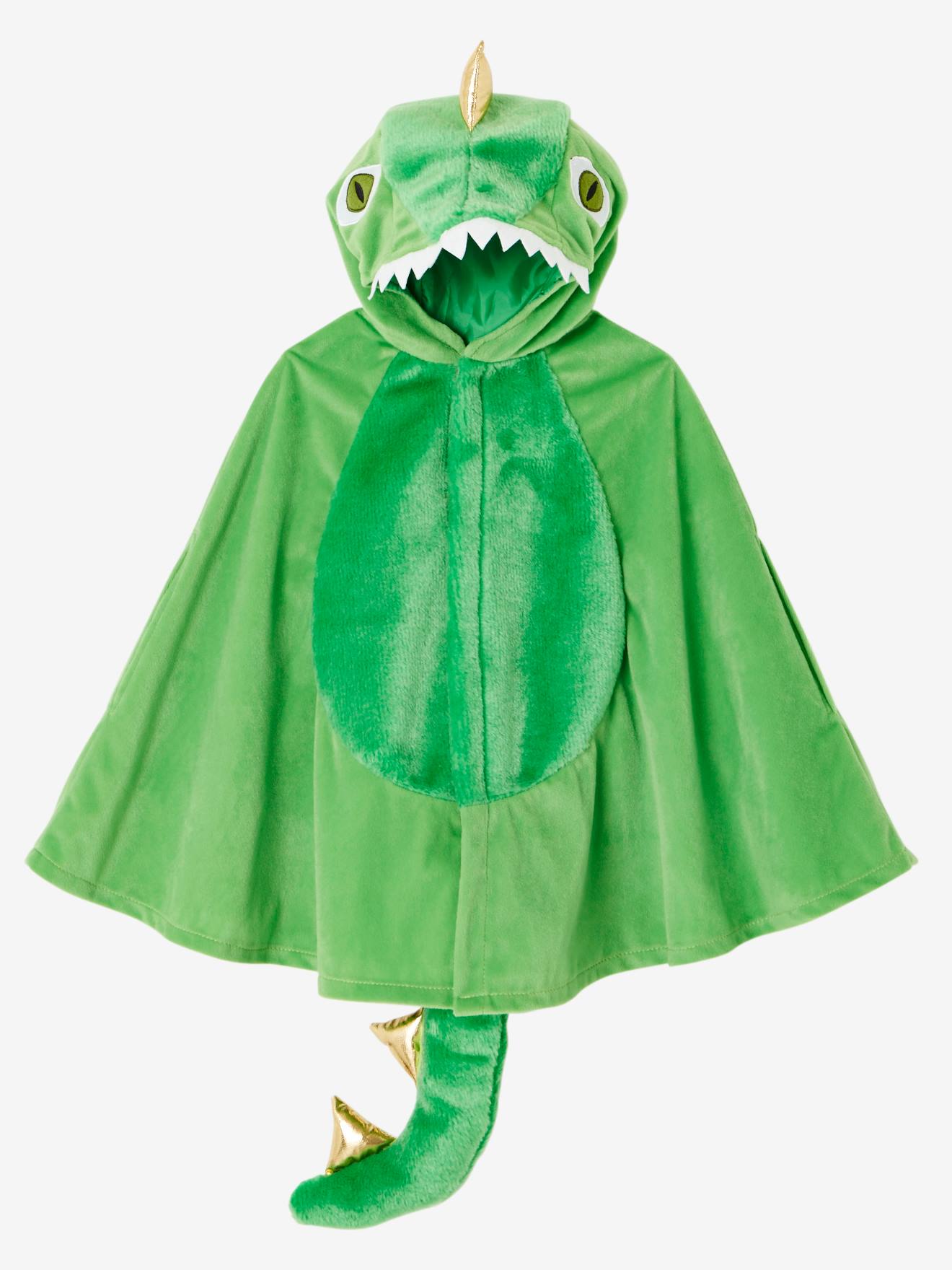 Dinosaur Costume - 2