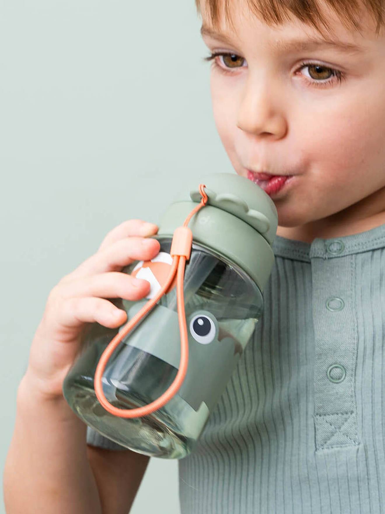 Water Bottle with Retractable Straw