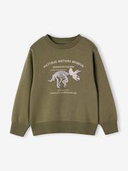 Boys-Cardigans, Jumpers & Sweatshirts-Sweatshirts & Hoodies-Round-Neck Sweatshirt with Print, for Boys
