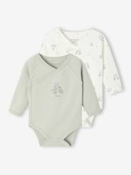 Pack of 2 Long-Sleeved Bodysuits, Newborn Special