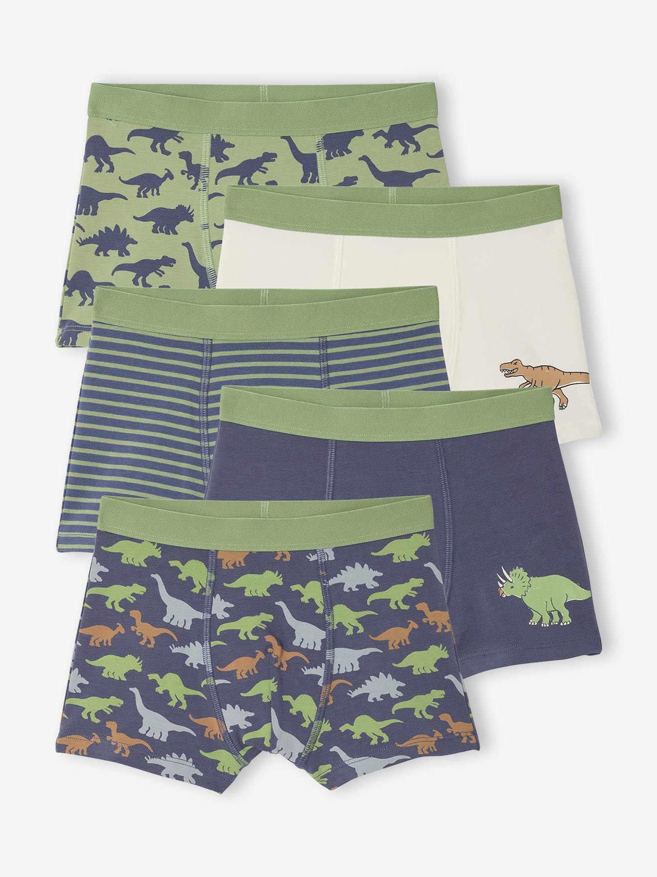 Dinosaur Boxer Shorts