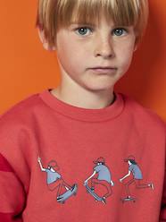 Boys-Cardigans, Jumpers & Sweatshirts-Sweatshirts & Hoodies-Skateboard Sweatshirt for Boys