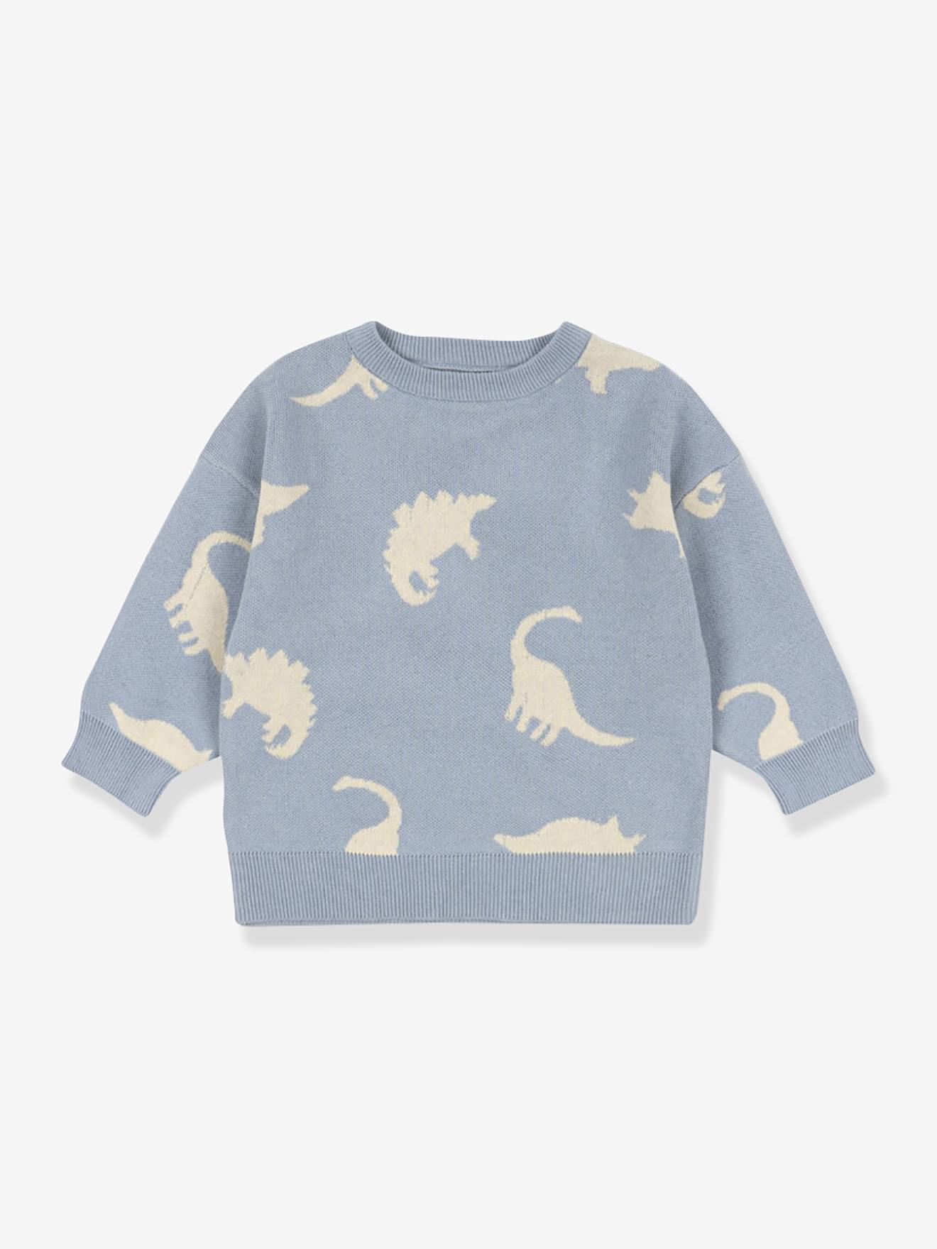 Dinosaur Sweatshirt