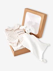 Baby-Pyjamas-Sleepsuit set in flannel + comforter
