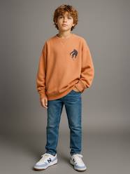 Boys-Cardigans, Jumpers & Sweatshirts-Sweatshirts & Hoodies-Pack of 2 Plain Long-Sleeved Sweatshirts for Boys, JONEN
