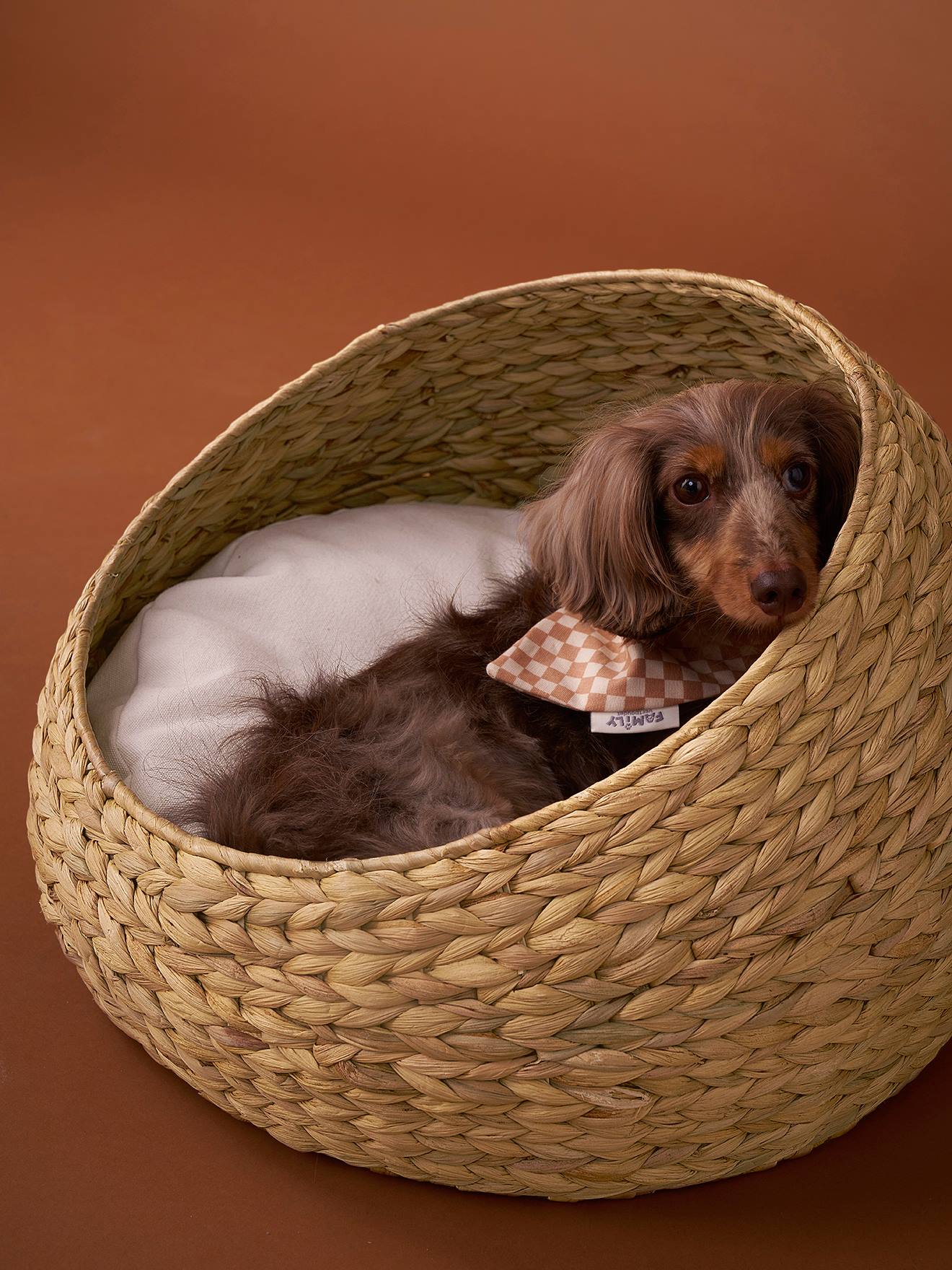 Oval pet basket FAMILY
