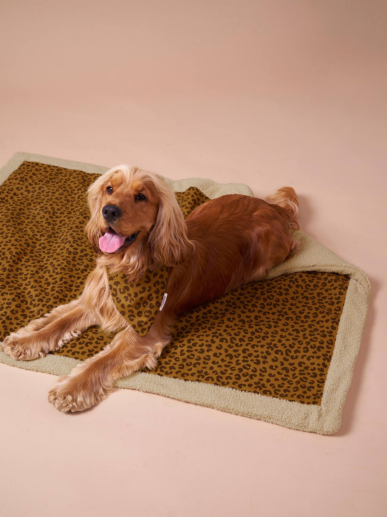 Nomadic rug blanket