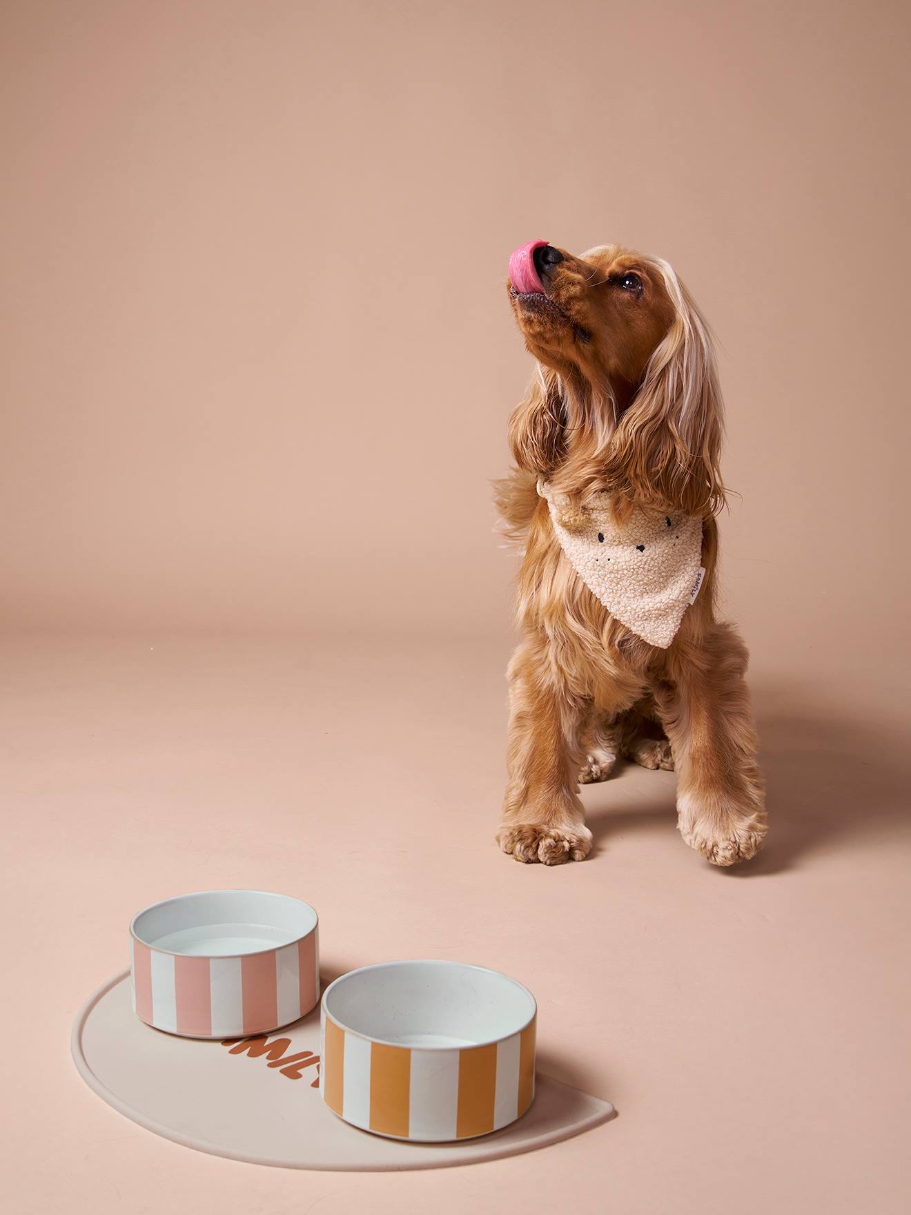 Ceramic Dog Bowl