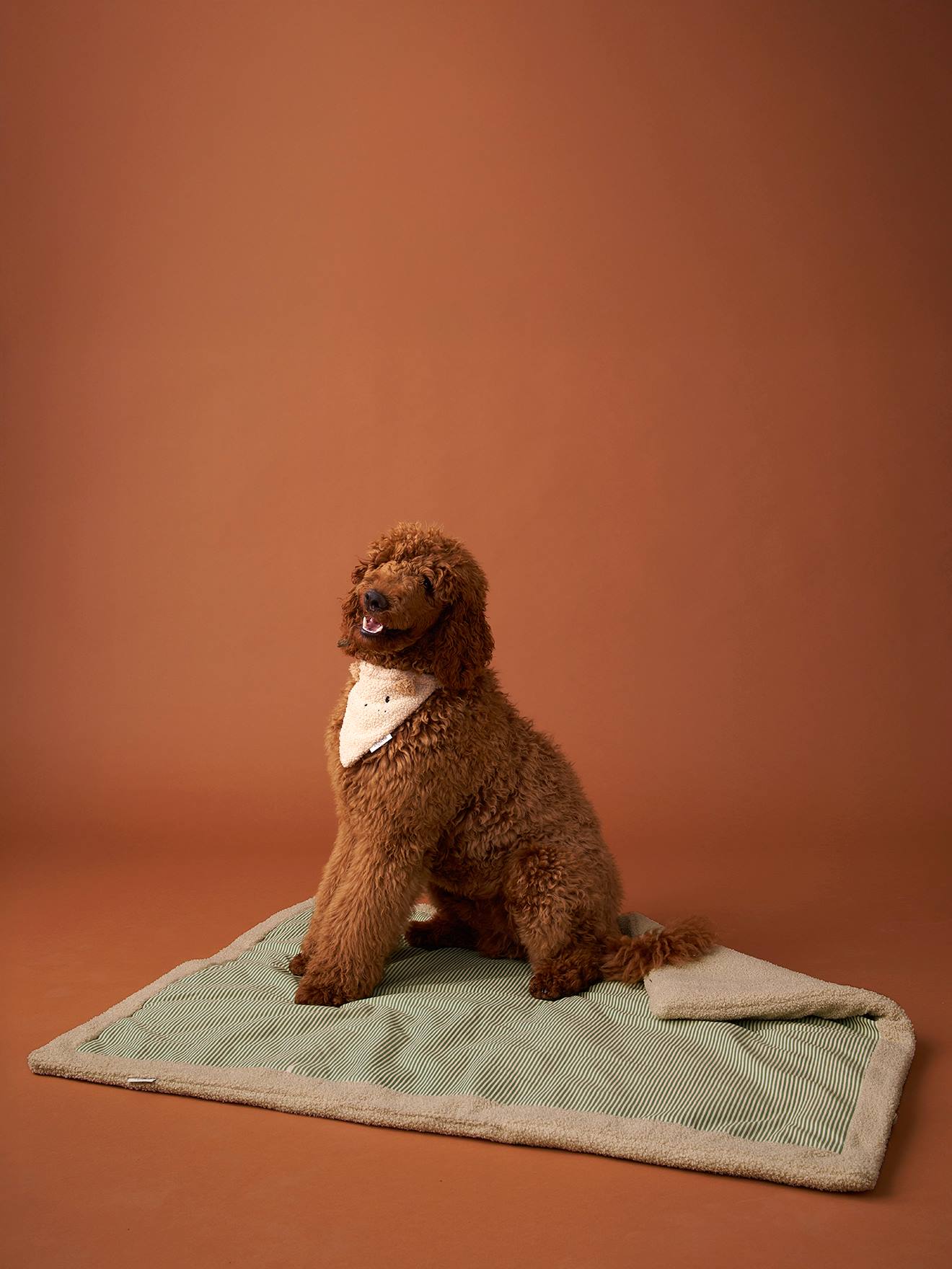 Nomadic rug blanket - 2